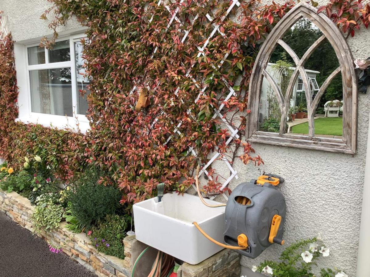 Laurel Cottage Ballymoney Dış mekan fotoğraf